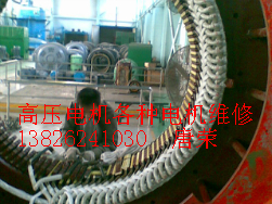 高壓電機維修保養(yǎng)定子檢修保養(yǎng)的質量標準