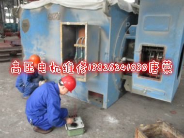 高壓電機維修故障狀態(tài)診斷維修經(jīng)驗傳授