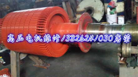 大中型電機(jī)維修保養(yǎng)軸電壓測(cè)定試驗(yàn)圖解